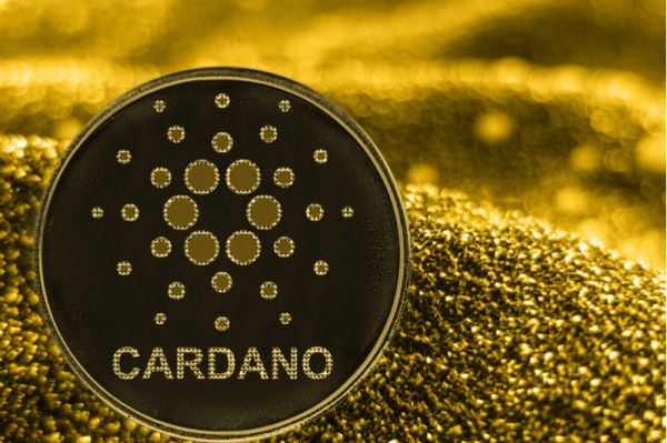 Основатель Cardano собрался убедить конгрессменов стать криптолояльнее